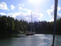 Svartviken, �ngs�